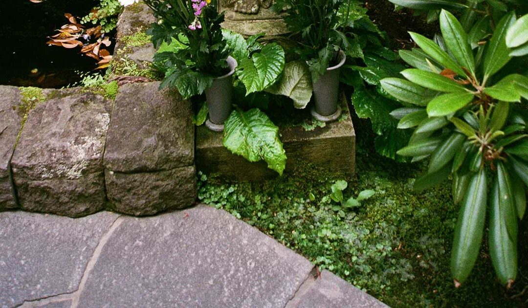 Comment réussir votre jardin japonais avec la pierre naturelle ?