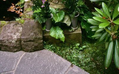 Comment réussir votre jardin japonais avec la pierre naturelle ?
